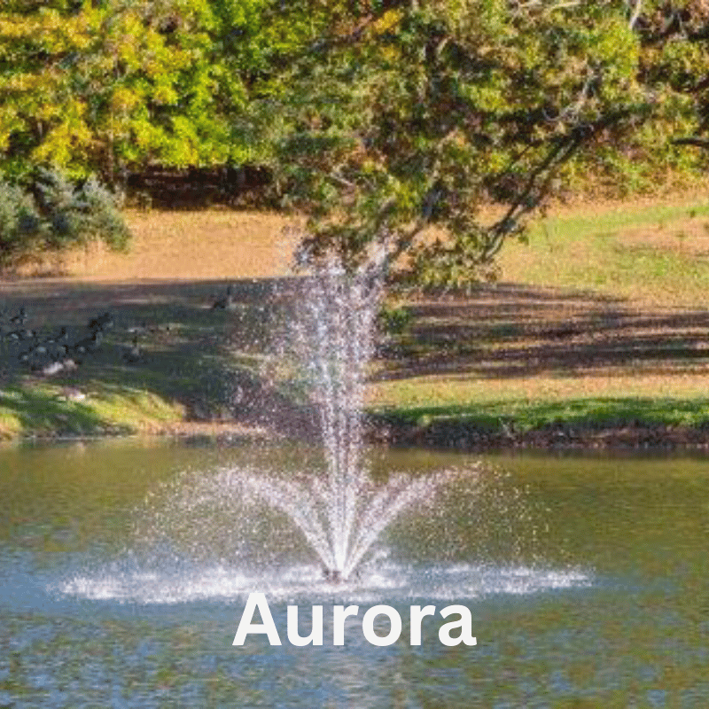 Bearon Aquatics Olympus Fountain
