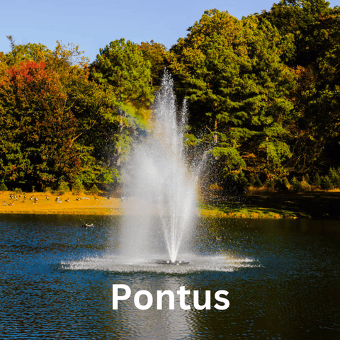 Bearon Aquatics Olympus Fountain