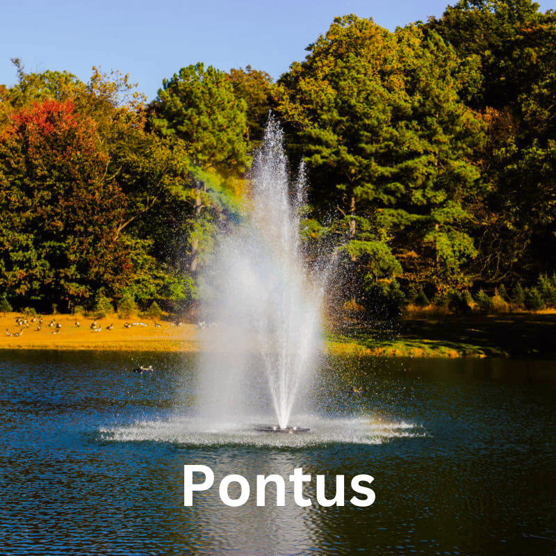 Bearon Aquatics Olympus Fountain