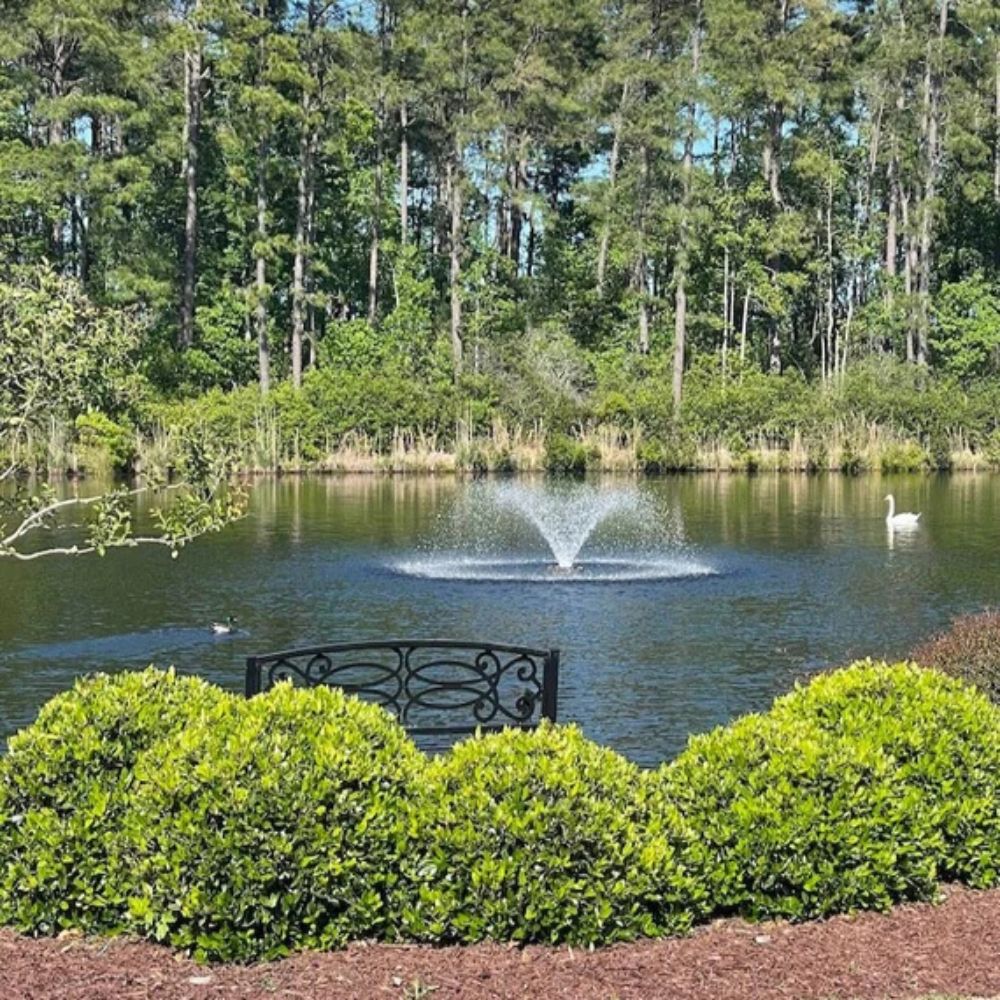 Bearon Aquatics Power House Aerating Fountain On The Water With Trees In The Background
