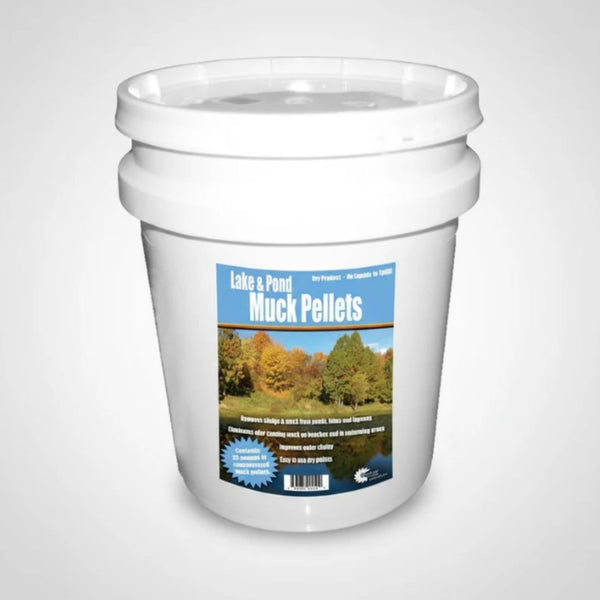 Beneficial Bacteria for Pond Muck Front View On Plain Background