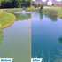 Blue Pond Dye Before-And-After Comparison Showing Greenish Water Turning Clear Blue
