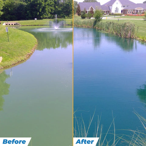 Outdoor Water Solutions Blue Pond Dye | Dry Packs