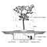 Thumbnail for Blue Thumb 40 Copper Sequoia Tree Garden Fountain Diagram