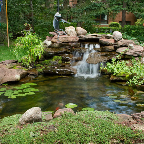 Blue Thumb DIY Pond Skimmer Frog Statue On The Rock With Plants And Lilies