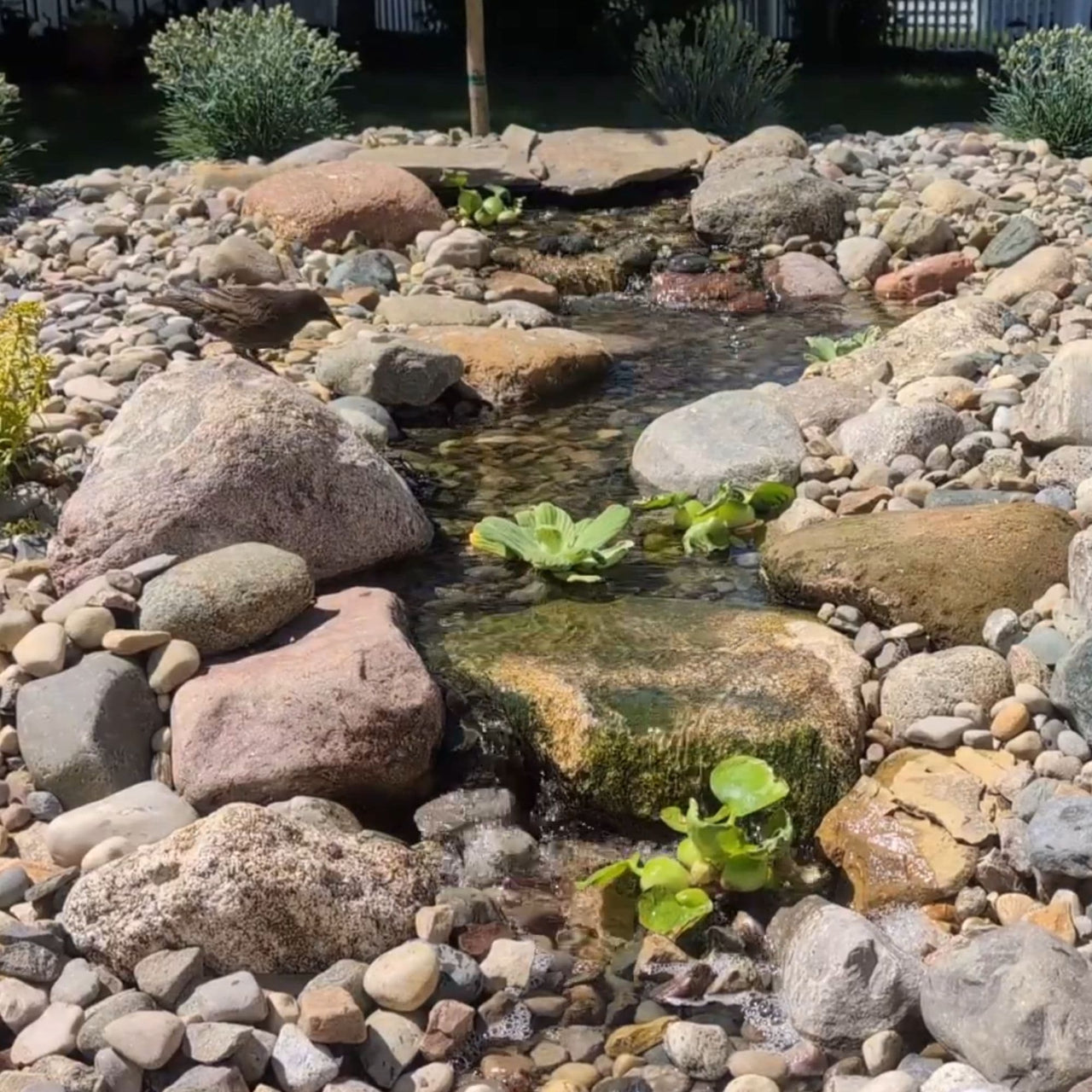 Blue Thumb DIY Small Cascading Pondless Waterfall Kit With Bird Staring The Flowing Water