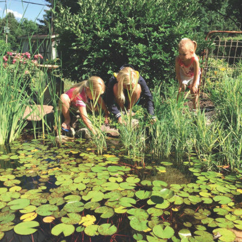 Blue Thumb DIY Small Pond Kit Children Exploring Plants Beside Garden Pond