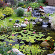 Blue Thumb Elite Complete Pond Kit On A Waterfall Garden