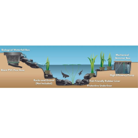 Blue Thumb Elite Pond Kit Cross Section Diagram Shown