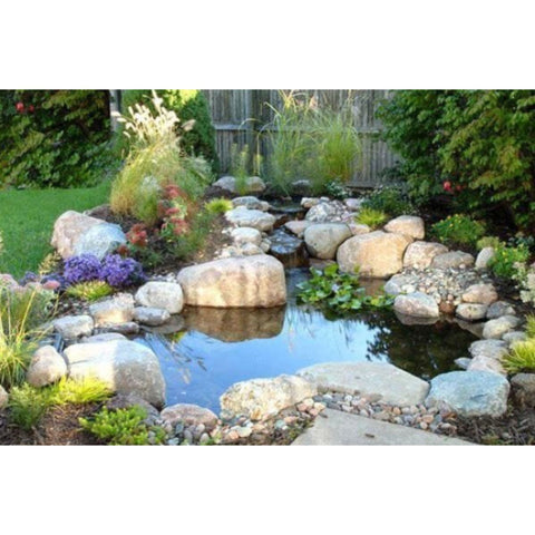 Blue Thumb Elite Pond Kit On Backyard Pond With Rocks And Plants