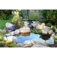 Thumbnail for Blue Thumb Elite Pond Kit On Backyard Pond With Rocks And Plants