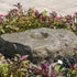 Thumbnail for Blue Thumb Large Bird Bath Boulder Stone Fountain Surrounded By Bright Ornamental Plants