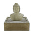 Thumbnail for Buddha Bust Fountain With Plain White Background 