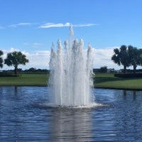 Thumbnail for Cascade Pisces Fountain With Palm Trees Under Clear Blue Sky