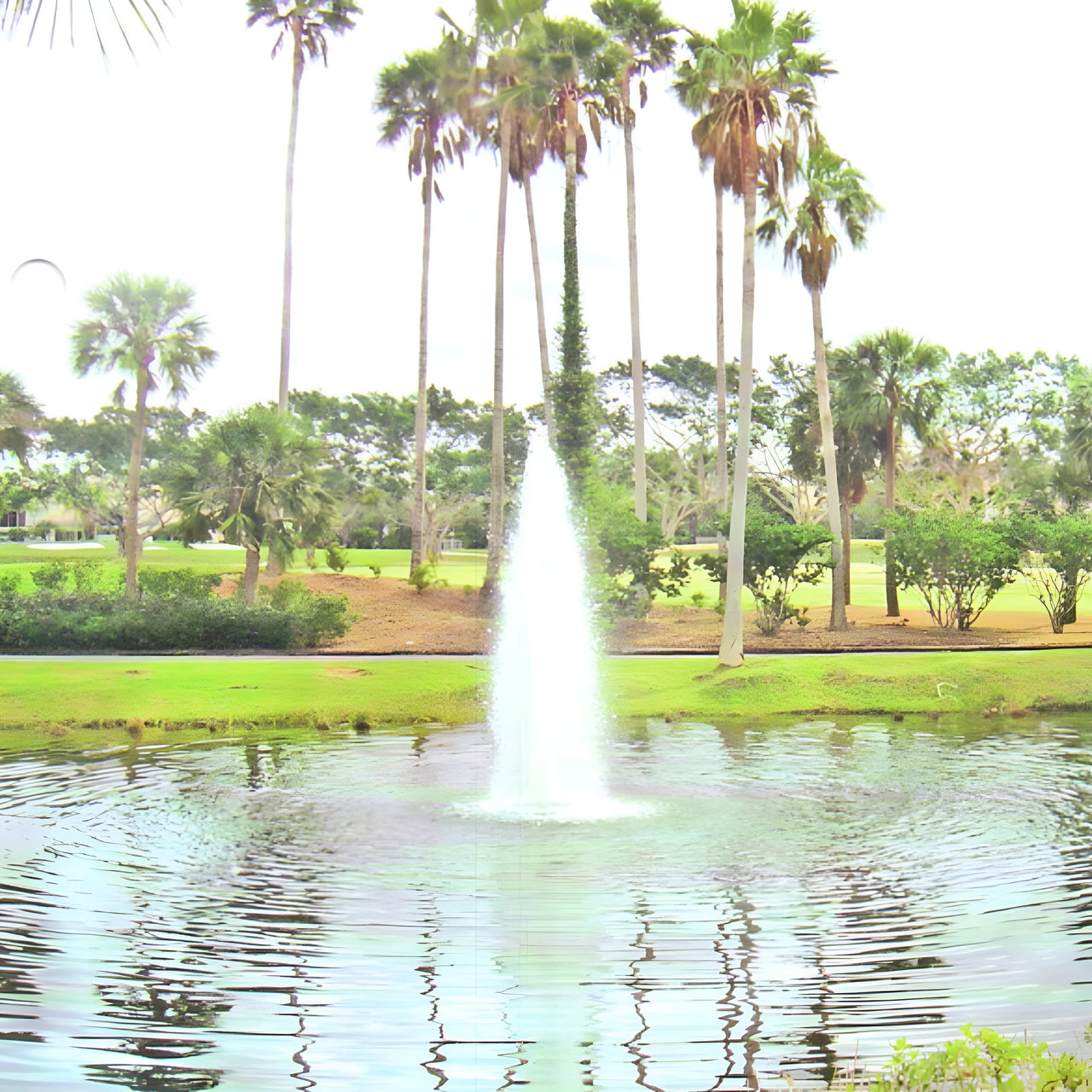 Cascade Single Jet Pond Fountain With Tall And Short Coconut Trees