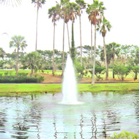 Thumbnail for Cascade Single Jet Pond Fountain With Tall And Short Coconut Trees