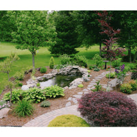 Thumbnail for DIY Small Pond Kit By Blue Thumb Garden Pond With Stone Pathway