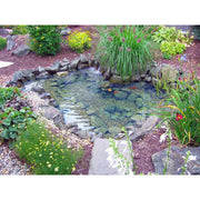 EasyPro Mini Pond Kit