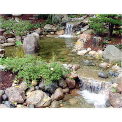 EasyPro Medium Pond Kit Package With Green Plants And Rocks