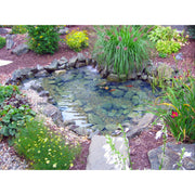 EasyPro Mini Pond Kit Package Colorful Garden Pond With Rocks And Flowers