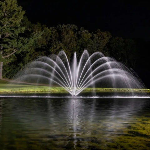 Fern Premium Fountain Nozzle Beneath A Dark Night Sky Surrounded By Trees