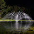 Thumbnail for Fern Premium Fountain Nozzle Beneath A Dark Night Sky Surrounded By Trees