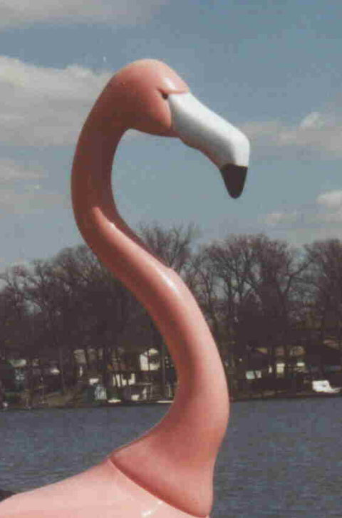 flamingo pedal boat Adventure Glass Big Bird Pink Flamingo Platform Paddle Boat