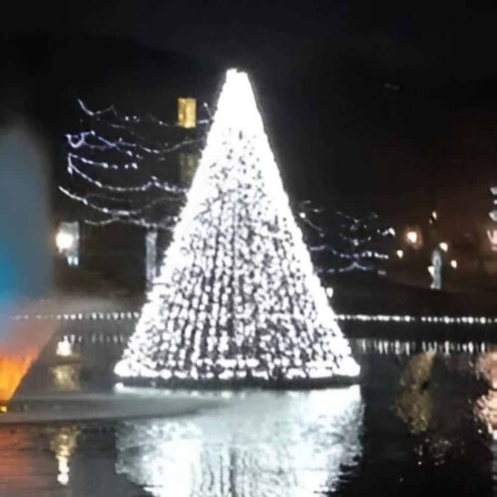 Floating Christmas Tree On The Water With White Lights