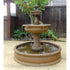Thumbnail for Giannini Garden Fleur De Lis Pond Fountain With Wooden Wall And Banana Tree In The Background
