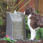 Hollow Springs Garden Rock Fountain With Brown And White Dog Standing Beside