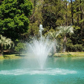 Hydro Torque Series Floating Lake Fountain Tropical Pond Setting With Lush Palm Trees