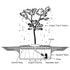 Thumbnail for Japanese Maple Outdoor Fountain Diagram