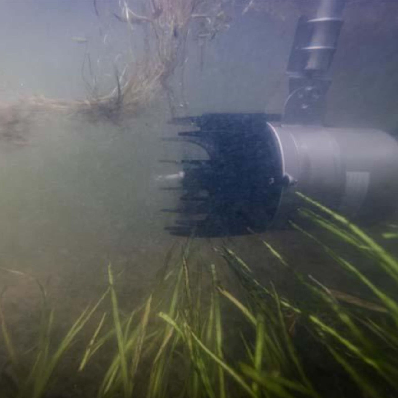 Kasco Aquaticlear  Underwater View