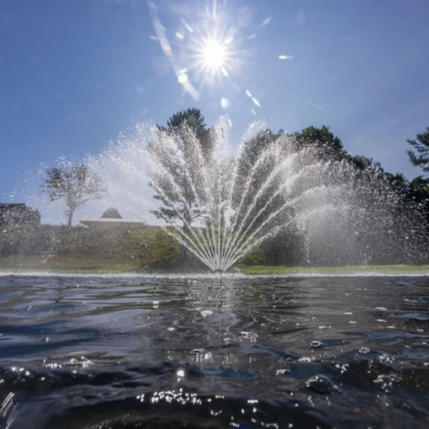 Kasco Fern Premium Fountain Nozzle Low-Angle View Beneath A Bright Blue Sky