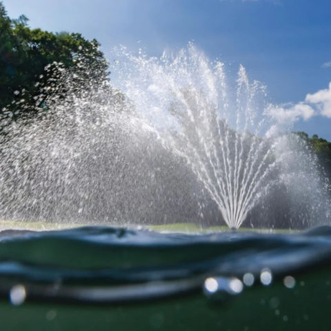 Kasco Marine Fern Premium Fountain Nozzle Split Waterline View With Sunlit Water Reflections