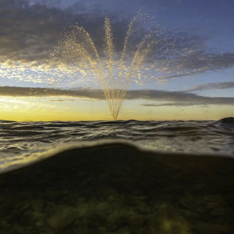 Kasco Marine Palm Premium Fountain Nozzle Water-Level View Beneath A Colorful Sunset Sky