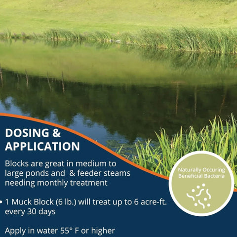 Kasco Marine Pond Probiotics Muck Block Dosing And Application