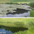 Thumbnail for Kasco Marine Pond Probiotics Showing The Before And After Result