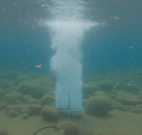 Thumbnail for Kasco Robust Aire Diffused Pond Aeration System