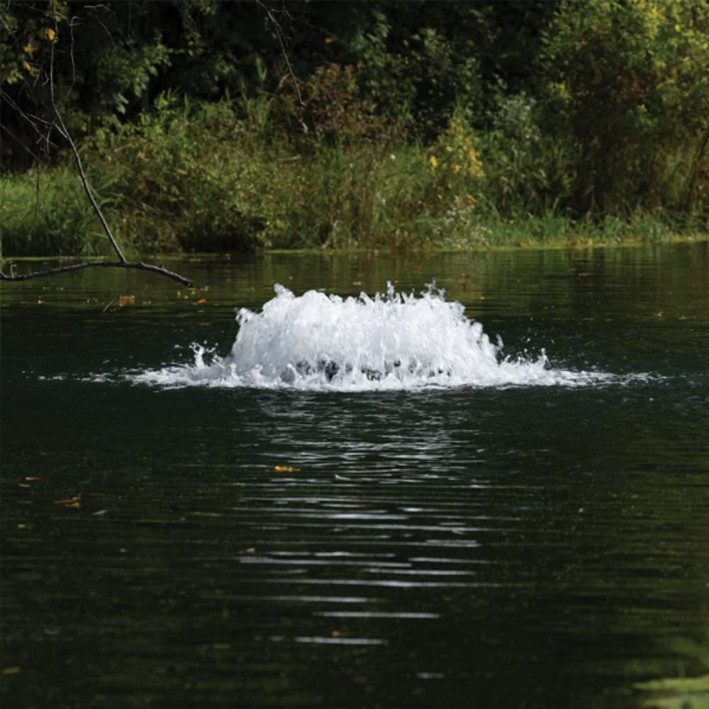 Kasco Surface Aerator On The Water With Trees In The Background