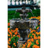 Thumbnail for Lion Tiered Garden Fountain - Small Surrounded By Orange Flower