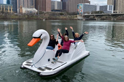 big pedal boat Adventure Glass Big Bird Swan Platform Paddle Boat
