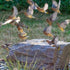 Thumbnail for Outdoor Bird Bath Fountain With Group Of Birds Flying
