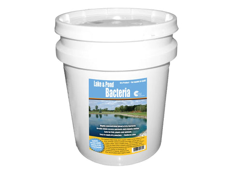 Outdoor Water Solutions Beneficial Bacteria for Ponds