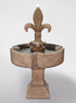 Thumbnail for Piazza Fleur De Lis Fountain