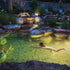 Thumbnail for Recreational Pond Kit 9x20 by Aquascape With Lights And Kid Swimming