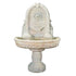 Thumbnail for Robbiana Wall Outdoor Water Fountain With Plain White Background