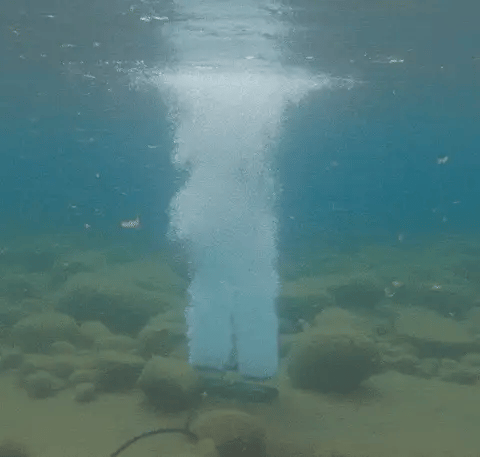 RobustAire Diffused Aeration System Actual Under Water View