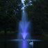 Scott 14-Color-Changing LED Light Set With A Swan On Water Display At Late Night