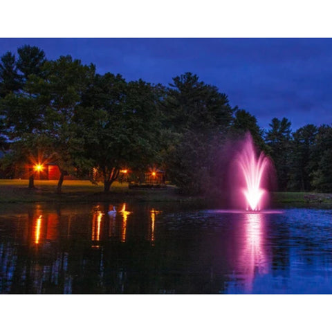 Scott 14-Color-Changing LED Light Set With Scenic Landscape View Surrounded By Big Trees